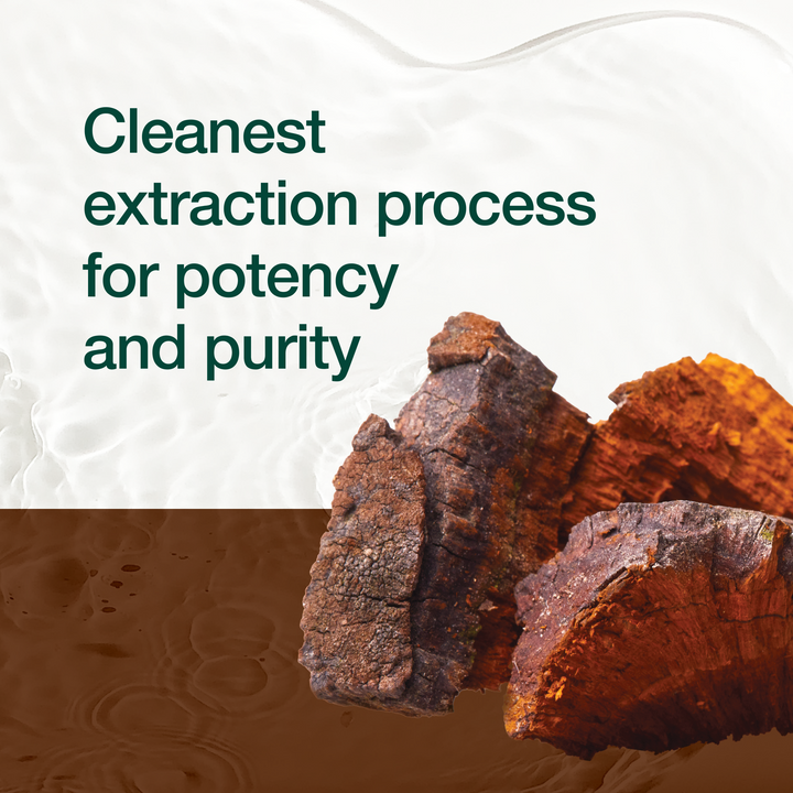Chaga Mushroom 1500mg