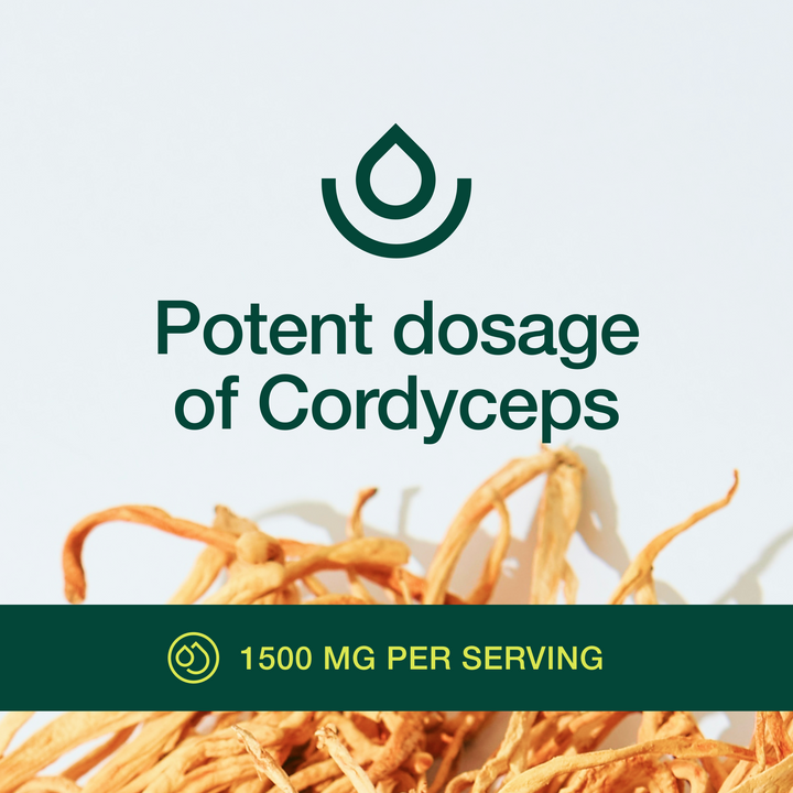 Cordyceps Mushroom
