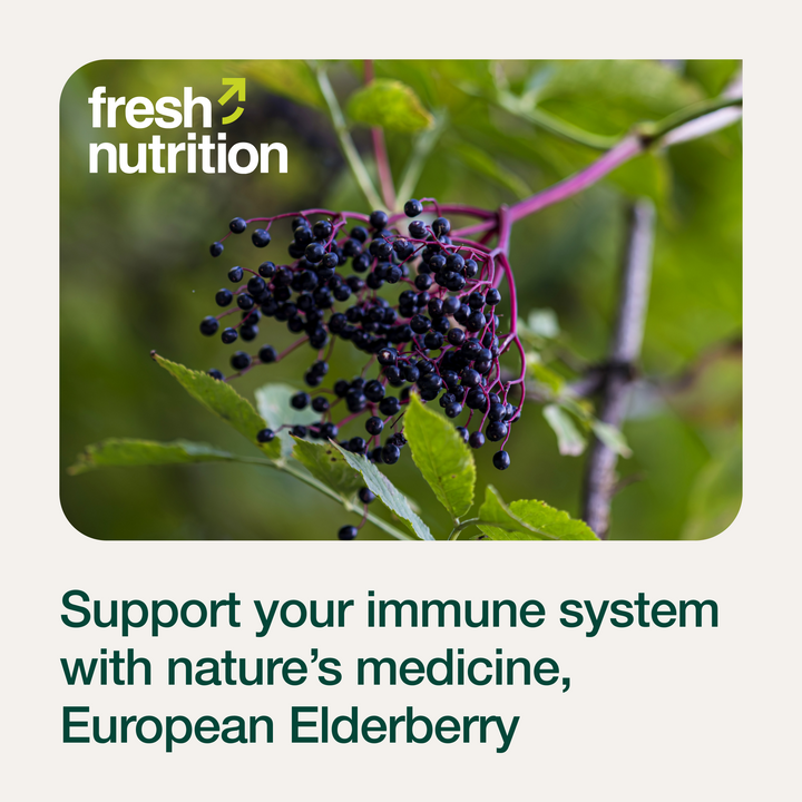 Elderberry Immune Support