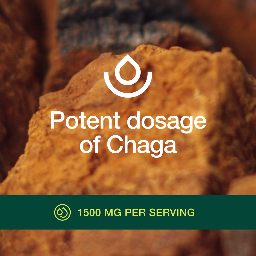 Chaga Mushroom 1500mg