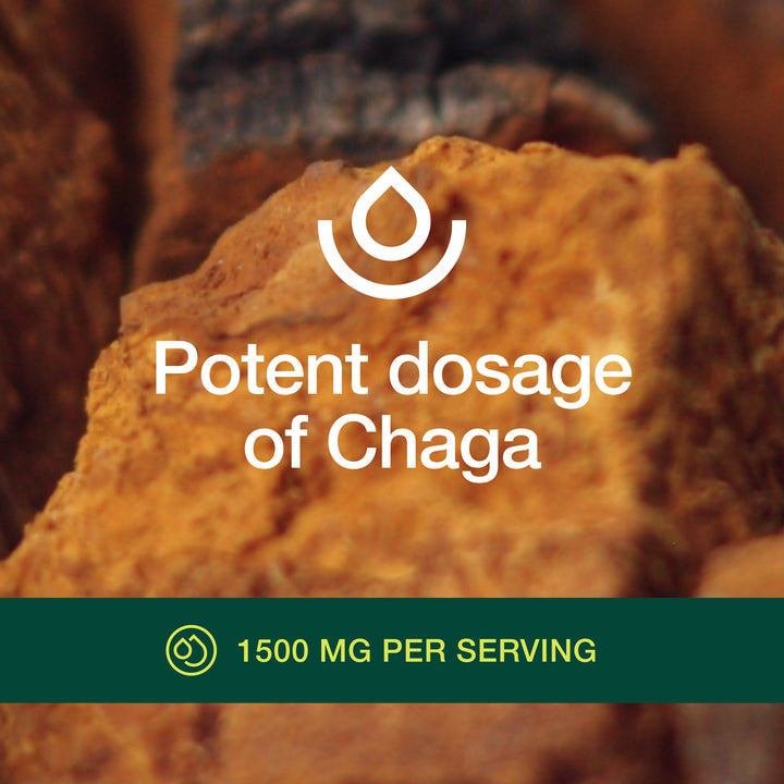 Chaga Mushroom 1500mg