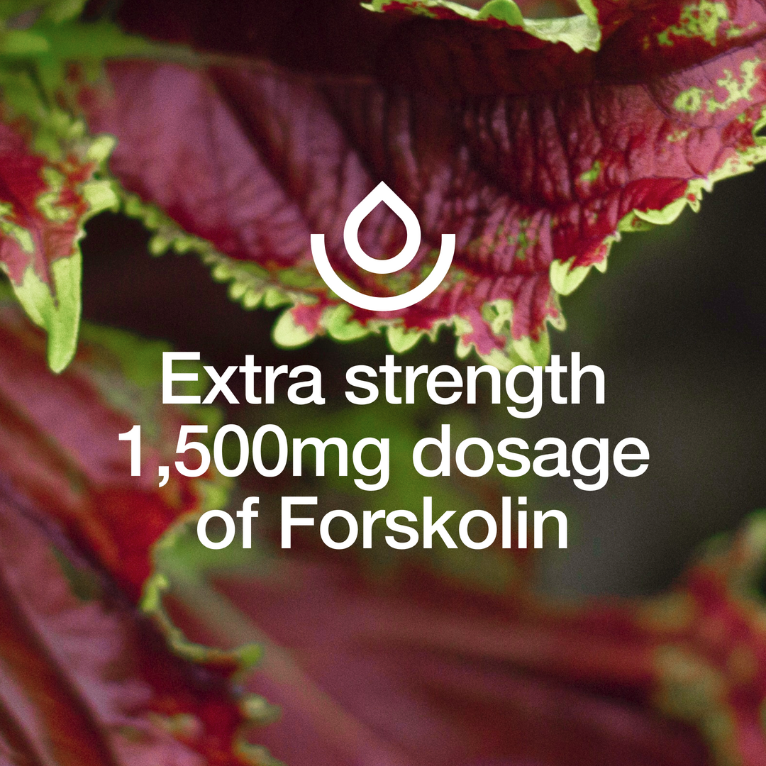 Forskolin