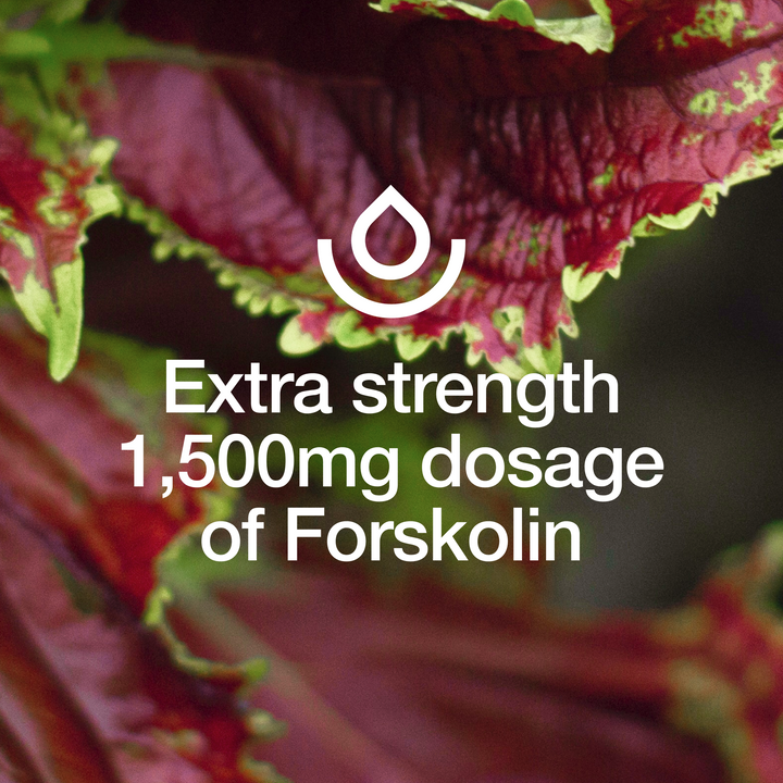 Forskolin