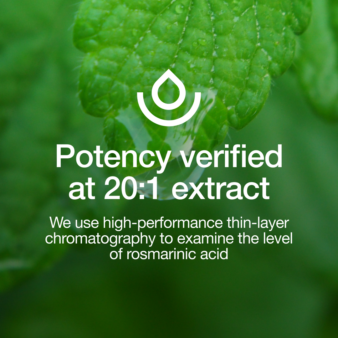 Lemon Balm Extract