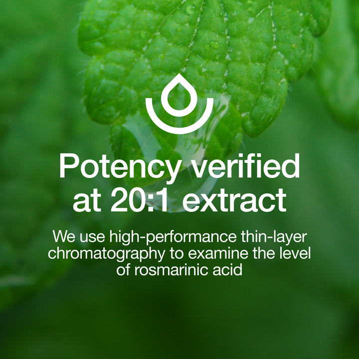 Lemon Balm Extract