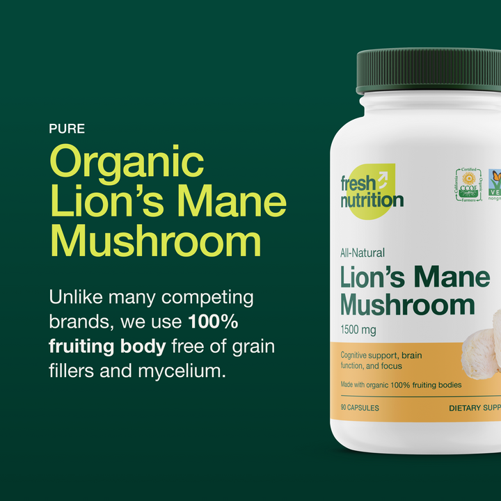 Lion's Mane Mushroom