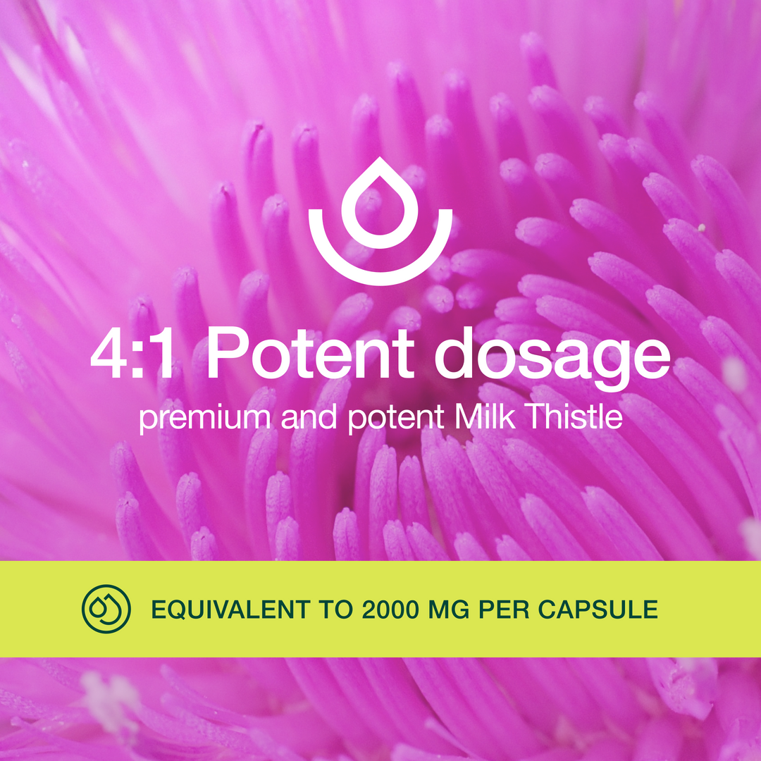 Milk Thistle 4:1 Extract