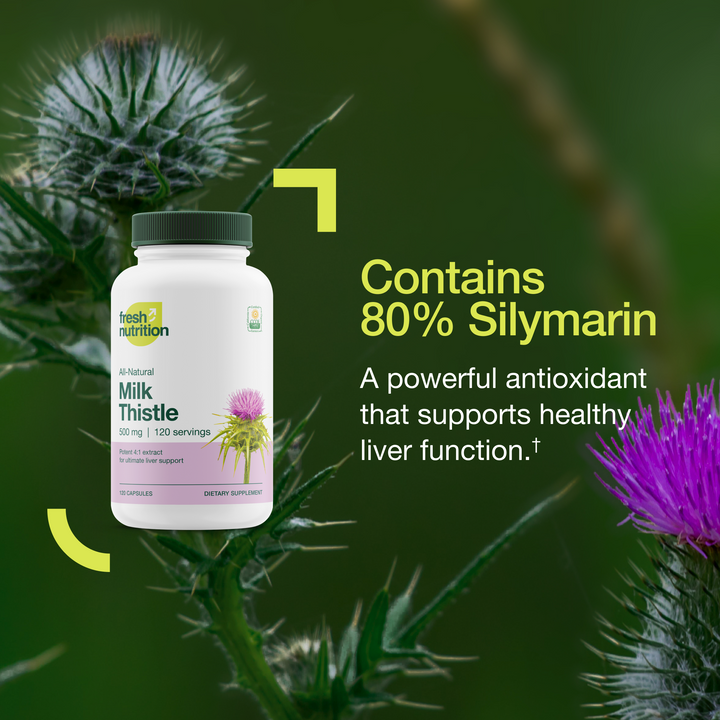 Milk Thistle 4:1 Extract