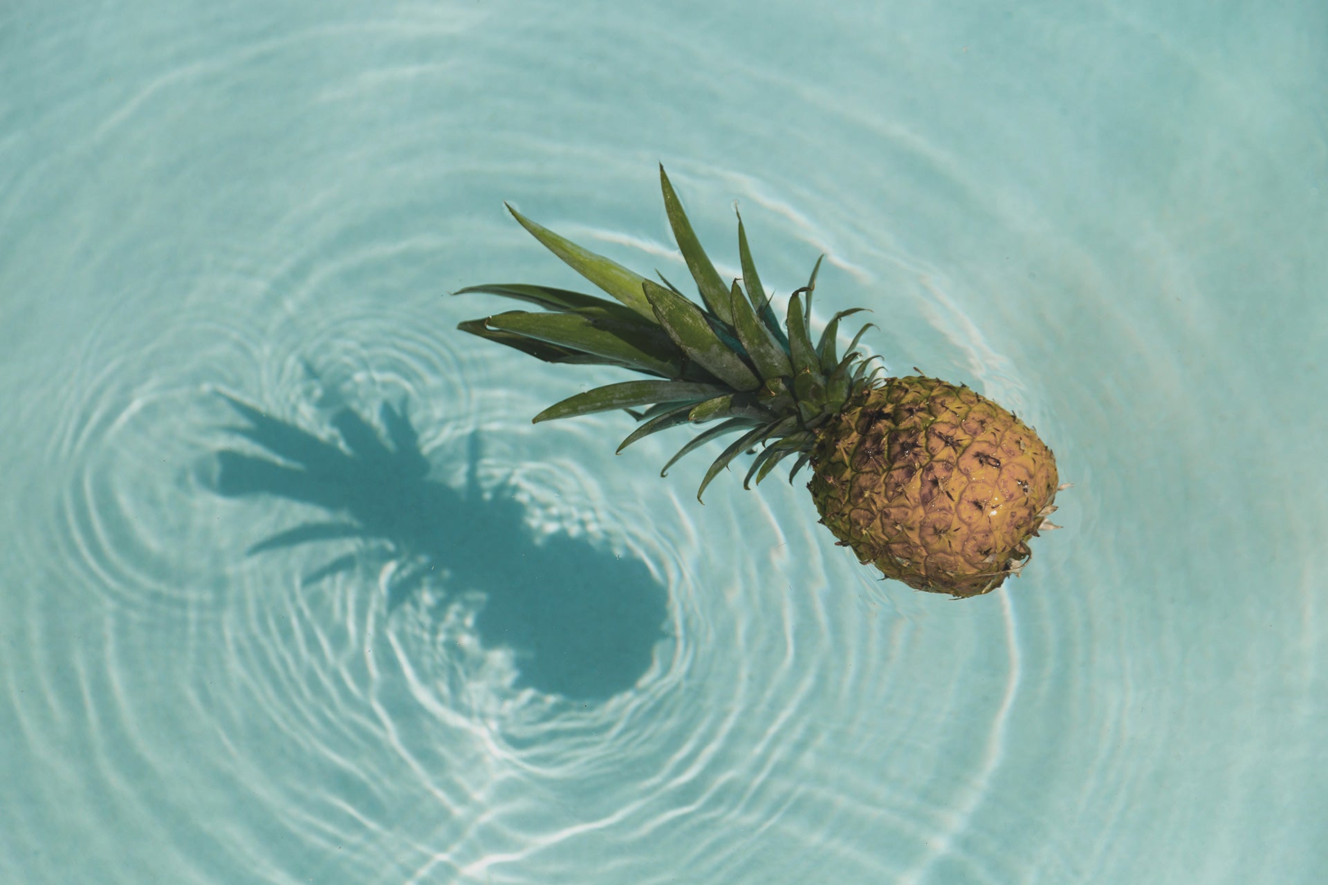 Bromelain (Pineapple Plant) – Fresh Nutrition