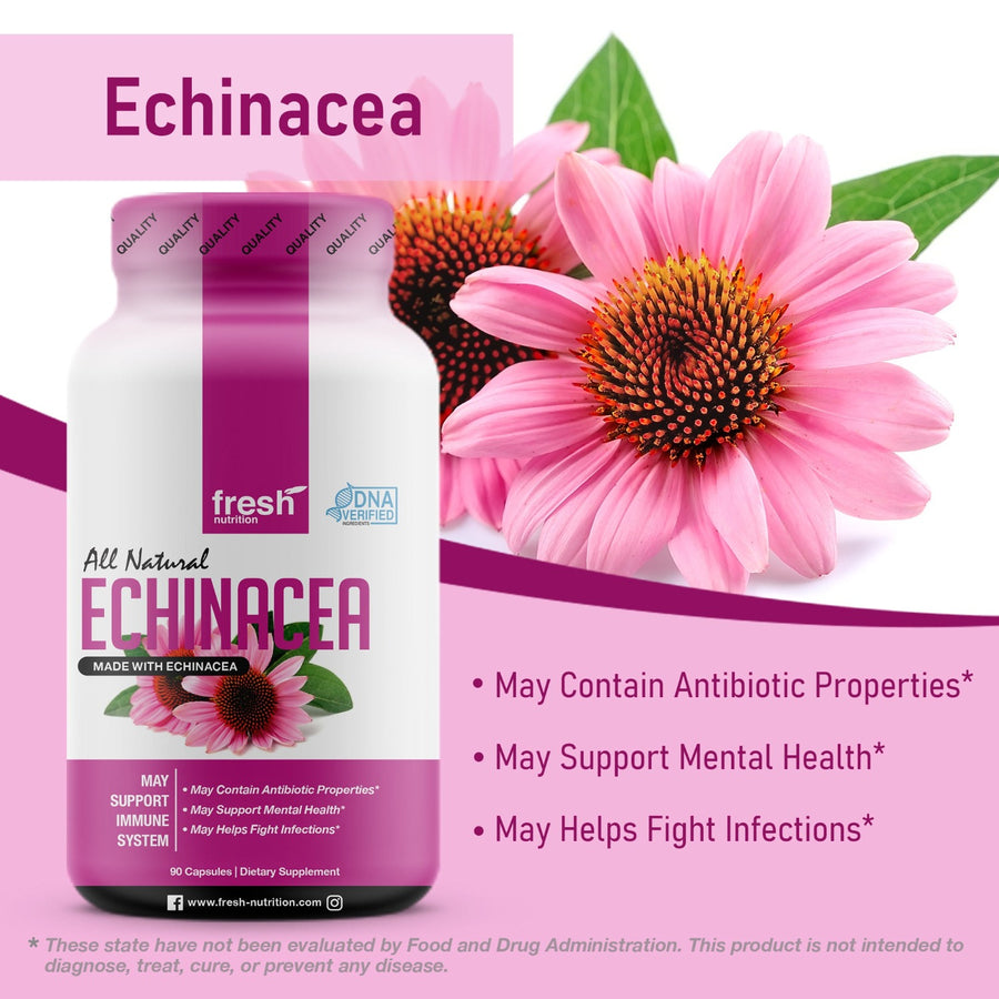 Echinacea Supplement Benefits